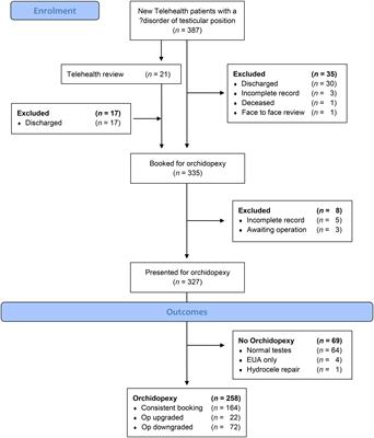 Assessing for cryptorchidism via telehealth is not always accurate: A Paediatric cohort study